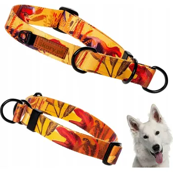 Obojek pro psa Polostahovací obojek pro velkého psa 42-62 cm XL Ukory JURASSIC park DINO