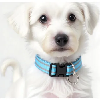 Obojek pro psa SVÍTÍCÍ LED OBOJEK PRO PSA KOČKU VELIKOST S