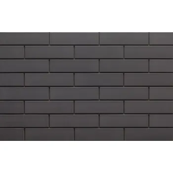 CERRAD OBKLAD.PÁSEK SZKLIWIONA SZARA H 171 MAT 245x65x6.5 CER-104799