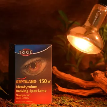 Teraristika Neodymium Basking-Spot-Lamp 150 W