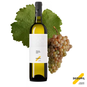Hibernal 2024, pozdní sběr, Rodinné vinařství Skoupil, suché