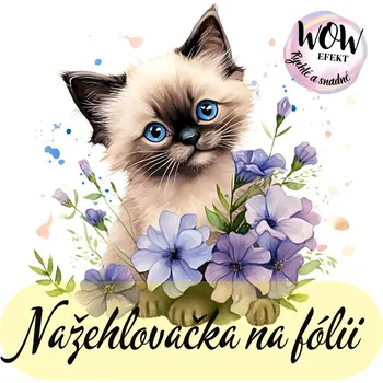 Nažehlovačky na fólii Nažehlovačka na fólii, SIAMSKÉ KOTĚ, 1 kus Zvolte VELIKOST motivu ZDE:: Menší