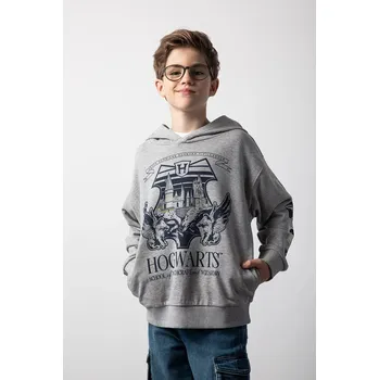 Chlapecká mikina Dětská mikina Coccodrillo šedá barva, s kapucí, vzorovaná, LICENCE BOY WARNER BROS ZC5132301LBW 09X, vel. 152