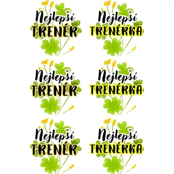 samolepka Samolepky, kulaté, NEJLEPŠÍ TRENÉRKA 1, 4,5 cm, 6ks/arch