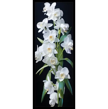 Doplněk ke knize Sběratelská záložka - Orchideje 4