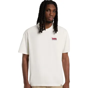 Pánské tričko Tričko Dickies Flag béžová - M