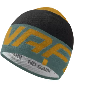 Čepice Dynafit Radical čepice Atlantic vel. Uni