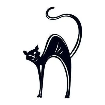 Odstranitelné tetování Černá kočka svítící ve tmě - nalepovací tetování