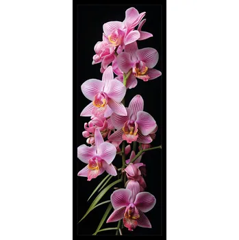 Doplněk ke knize Sběratelská záložka - Orchideje 3