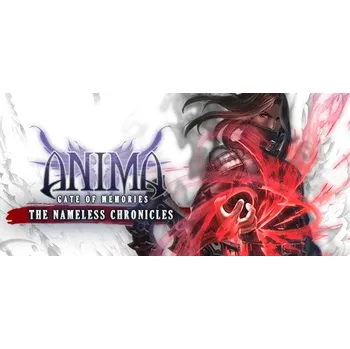 Počítačová hra Anima: Gate of Memories - The Nameless Chronicles (PC) (Steam)