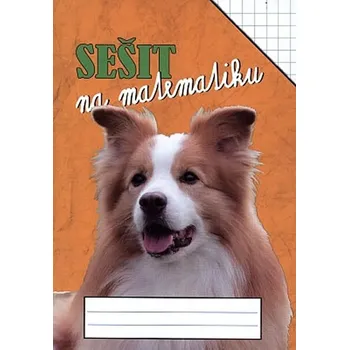 Sešit Sešit na matematiku - čtvercová síť 7 x 7mm