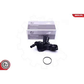 Chladič motoru Termostat, chladivo ESEN SKV 20SKV111