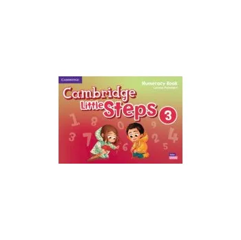 Cizí jazyk Cambridge Little Steps Level 3 Numeracy Book