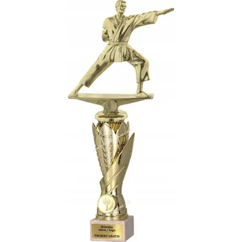 Zlatý pohár, soška s figurkou Karate, 41 cm + GRAVÍROVÁNÍ DÁREK