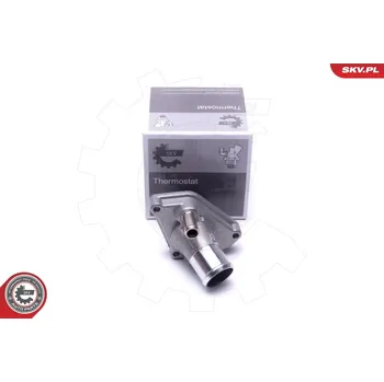 Chladič motoru Termostat, chladivo ESEN SKV 20SKV173