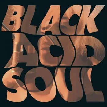 Zahraniční hudba Black Acid Soul Lady Blackbird Vinylová Deska