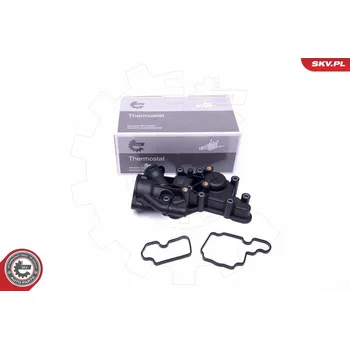Chladič motoru Termostat, chladivo ESEN SKV 20SKV095