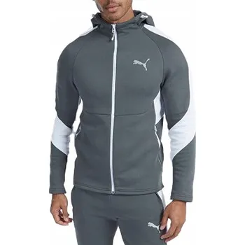 Pánská mikina Mikina Puma EVOSTRIPE FZ DK 67899580 r L
