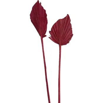 Palm spear mini color červená