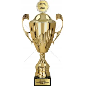 Umělecký zlatý pohár s víkem 37 cm s gravírováním DÁREK – prestižní!