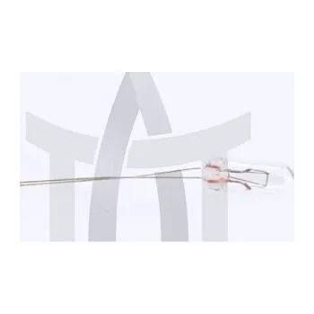 Autožárovka Žárovka 12V 1W T4,2 BOSMA 3271