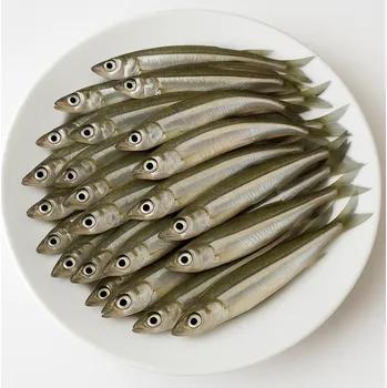 Návnadová surovina GRUNDLE CELÉ - Mražené ryby pro psy 7 cm 1 kg