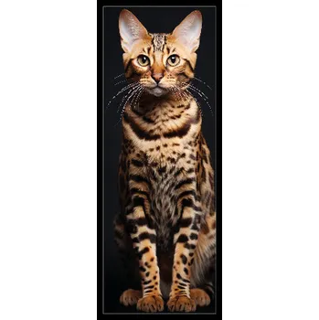 Doplněk ke knize Sběratelská záložka - Kočičí přátelé 2