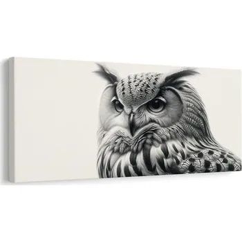 Obraz Dovido Obraz majestátní sova
