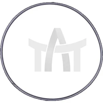 Auto-moto Těsnicí kroužek pístu přídavného pohonu ZF ZF 0501320483