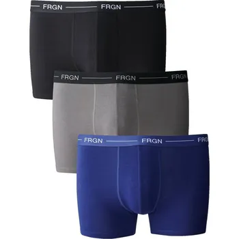 Pánské spodní prádlo Sada 3 boxerek FREEGUN nám.modrá+černá+šedá 77/84 (S)