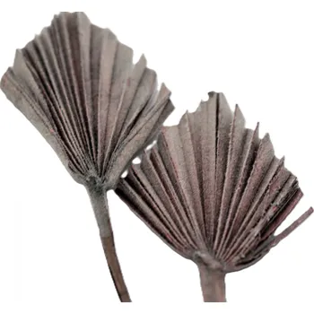 Sušený palmový list, Palm spear mini flocking šedá, 30 ks
