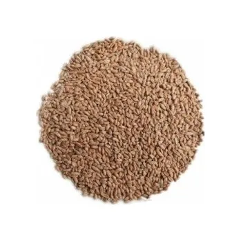 Chov hospodářského zvířete Pšenice krmná 25kg