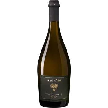 Cantina de Gambellara AnticaViti Vino Frizzante Bianco