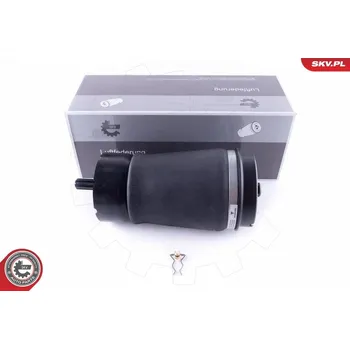 Vzduchová pružina, podvozek ESEN SKV 58SKV013