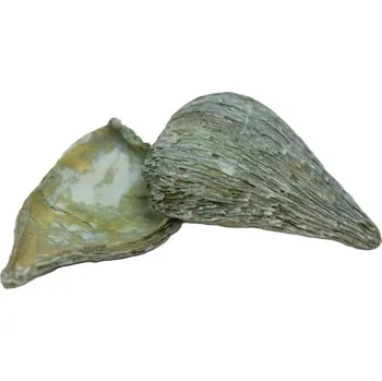 Pradip frosted sv. zelená 500gr