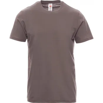 Pánské oblečení PAYPER PRINT pánské tričko s krátkým rukávem Barva: šedá, Velikost: S