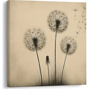 Obraz Dovido Obraz let pampeliškových přání