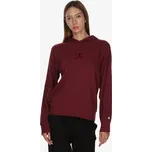 Champion Hooded Sweatshirt XL