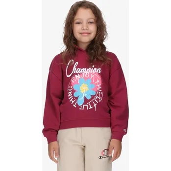 Pánská mikina CHAMPION Hooded Sweatshirt XS 1401434