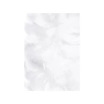 Set školních potřeb Piórka 5-12cm 10g białe