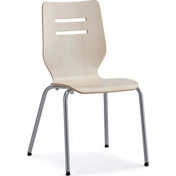 Jídelní židle Židle EXERCENDO, stříbrná, bříza