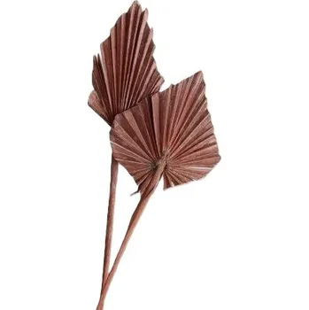 Sušený palmový list, Palm spear mini color frosted, 30 ks