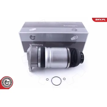 Vzduchová pružina, podvozek ESEN SKV 58SKV045