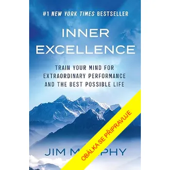 Vnitřní dokonalost