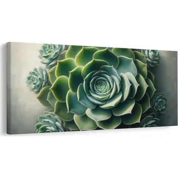 Obraz Dovido Obraz krása sukulentu