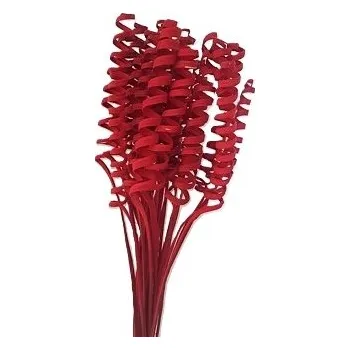 CANE SPRING BLCH COLOR červená