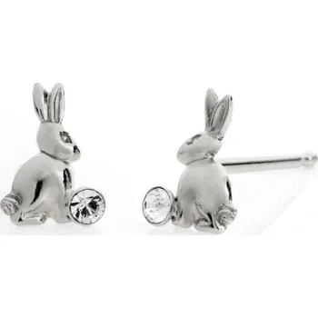 Náušnice Stříbrné náušnice Victoria Cruz A3476-07HT