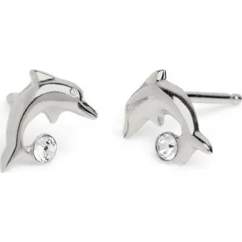 Náušnice Stříbrné náušnice Victoria Cruz A3475-07HT