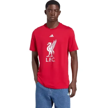 Pánské oblečení Adidas Liverpool FC DNA Graphic červená UK L