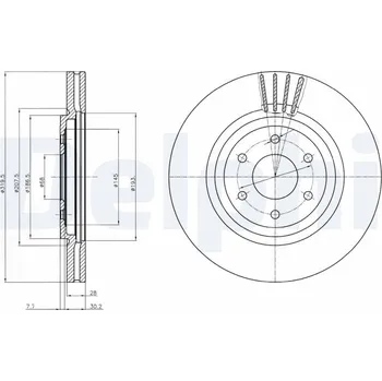 Brzdový kotouč Brzdový kotouč DELPHI BG4176C